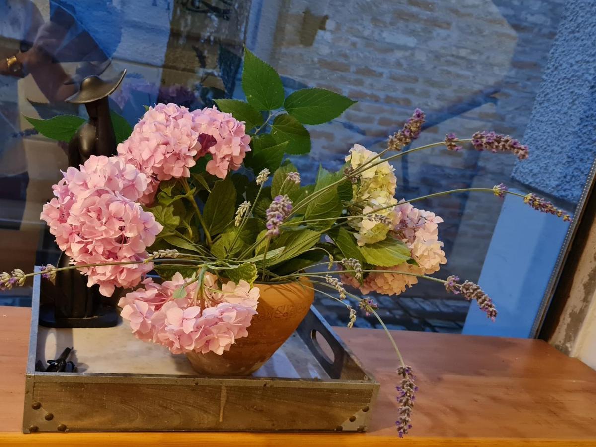נובי סאד Garden Center Apartment מראה חיצוני תמונה